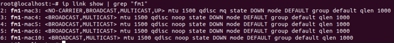 文件:Emb7521 ip link show.png